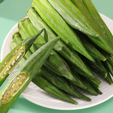 Load image into Gallery viewer, JASLIME Dried Crispy Okra 100g